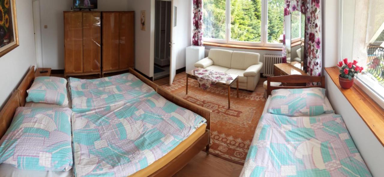 Apartamento Pokoje Olech Wrzosowo  Exterior foto